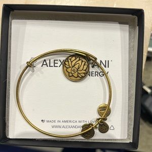 Alex and Ani bracelet